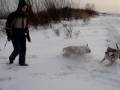 videos de Ca de bou Боня и Байя