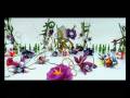 videos de sokol.wmv