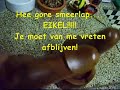 Merkwaardige houten asbakken,waarvan er eentje honger heeft