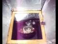 Solar Cooking is Fun