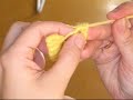 Bullion stitch