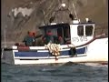 Pêche au hareng