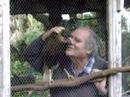Mr. Sapo and the bird Mr. Sapo and the bird