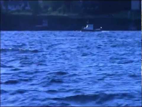 how to get the n off your licence in nova scotia