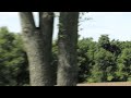 Giant Scale RC Airplane F4U Corsair Crash/Wipeout