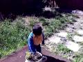 videos de Aryan's morning walk in the garden