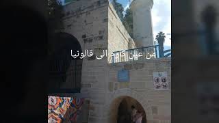 من عين كارم الى قالونيا. من عين كارم الى قالونيا.