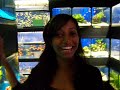 my-fish-tank-setup.html