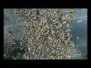 Crysis Mass Physics Zero Gravity