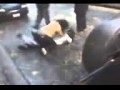 Chick Fight