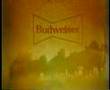 Clydesdale-Horse-Bud