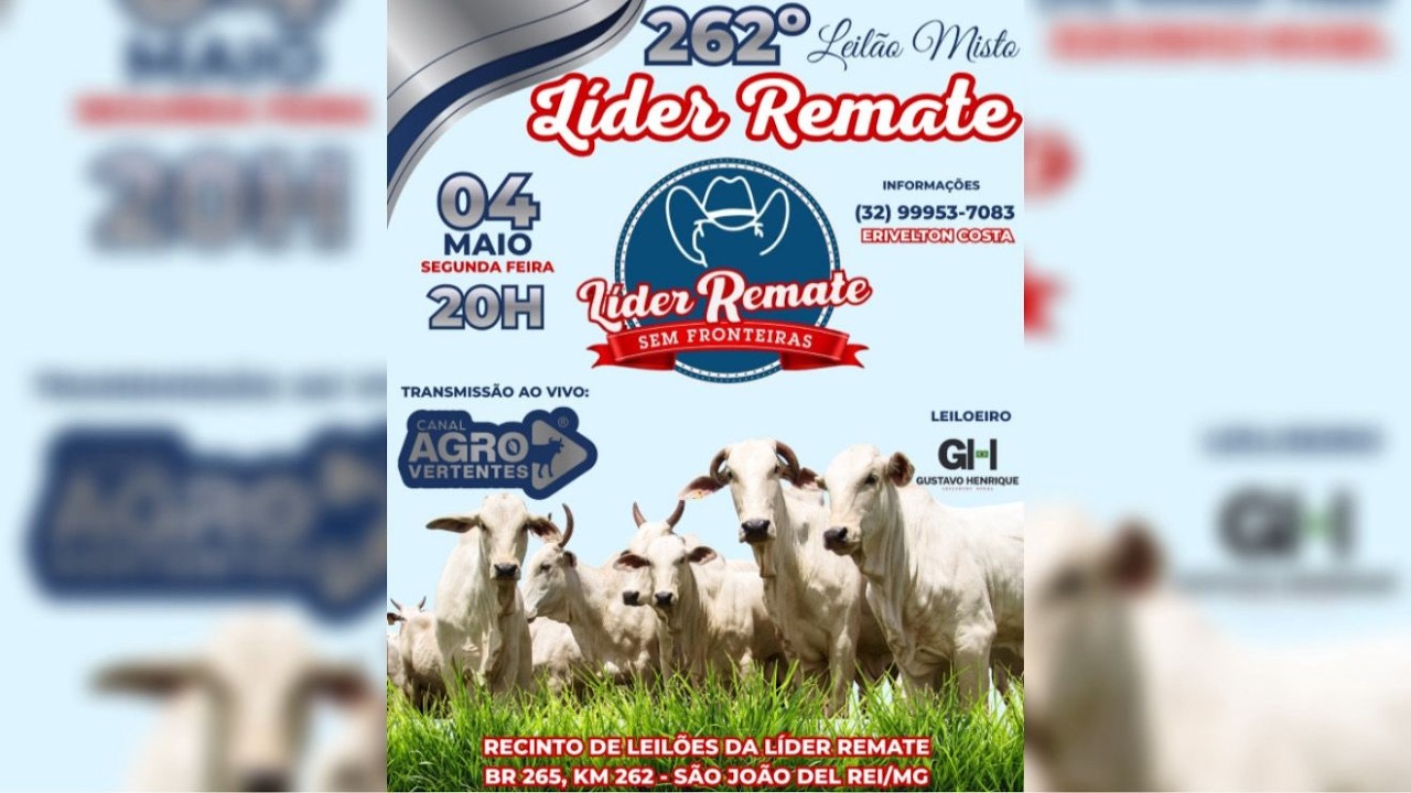 262º LEILÃO MISTO LÍDER REMATE - SÃO JOÃO DEL REI/MG - 04/05/2026