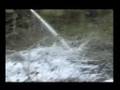 Foam Firefighting System