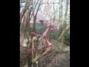 Kliffh�ngers Abenteuer
