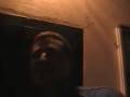 videos de david van hoey en bart van mol
