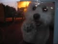 Pheebsie\ Pheebsie\