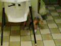 videos de TJ had an accident