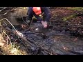 Channel set muskrats