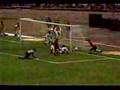 COFAL-Fuerte-Sele-90