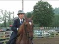 saddlebred park mare saddlebred park mare