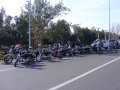 Paseo Dax quisco