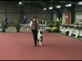 Heelwork To Music
