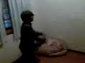 peleas callejeras- manu y lucas