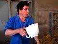 Dourbes 2007 : Césarienne à la ferme