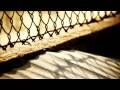 Ver Video