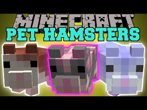 pet - The Pet Hamster mod adds tamable hamsters into Minecraft! Enjoy the video? Help me out and share it with your friends! Like my Facebook! http://www.facebook....