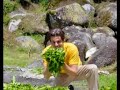 the-cameron-highlands-malaysia.html
