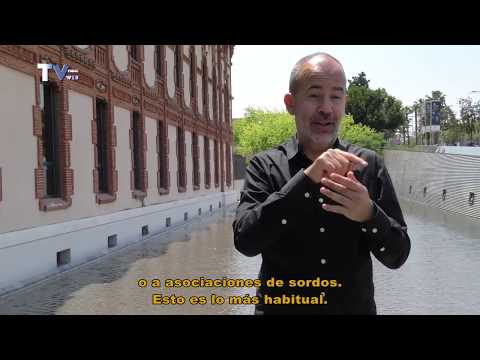Imatge de previsualització de YouTube
