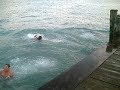 Diving.!