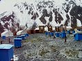 Dog Sled Mushers Camp
