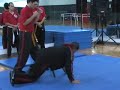 Natural Motion Systems Diagonal Martial Workshop