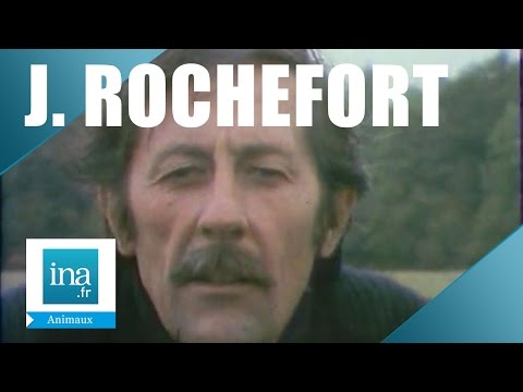 Les plus belles conquêtes de Jean Rochefort | Archive INA
