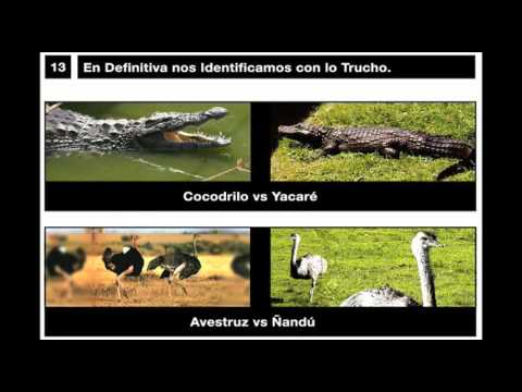 Imagen de previsualización de YouTube