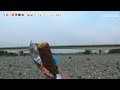 Click here to watch this video うまい棒黒糖味（株式会社やおきん） 駄菓子コレクション #34