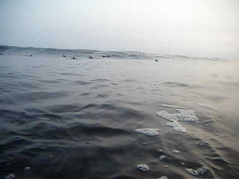 See video
