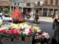 Italia Trip