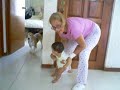 alice persiguiendo a guaco