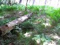 xc trial chicksands xc trial chicksands