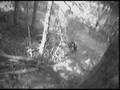 videos de whistler07.wmv