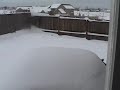 Athena chases Tessa in snow