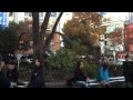 Tokyo | Day 10 | W. Syl | Afternoon in Sh