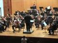 Mauro Giuliani-Concerto in La maggiore Guitar Ljubo Miletic