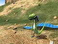 BERNI el oso del CSD - Parapente 1x50