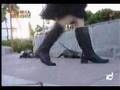 Hurones en Animal Show
