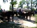 videos de Varga Tanya ( Varga Farm) near Lajosmizse L)