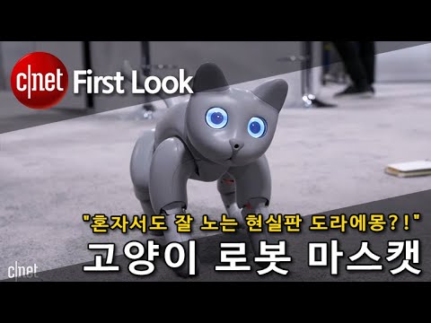 [영상] 반려묘 로봇 마스캣…‘16개 모터와 센서갖춘 동반자 로봇’